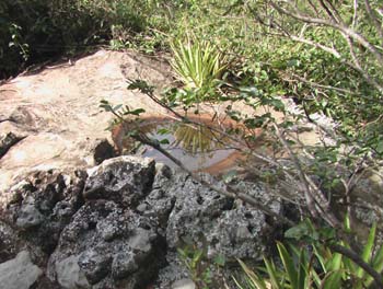 Antiguo altar