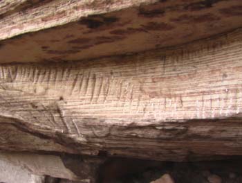 Inscripciones de la caverna - Anterior entrada