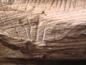 Inscripciones de la caverna - Anterior entrada_1