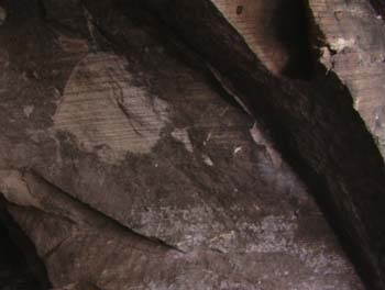 Margen derecho inferior cueva_5