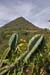 Vista de cerros adyacentes